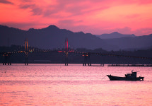 야간여행 ③강진 나이트드림