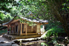 야간여행 ③강진 나이트드림