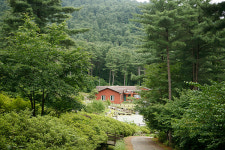 힐링의 숲 ①가평 경기도잣향기푸른숲