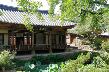 힐링의 숲 ④검마산자연휴양림·영양자작나무숲