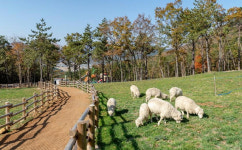 통영&거제 비대면 여행지