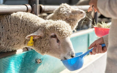통영&거제 비대면 여행지