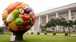 박형준 부산시장 후보 과일나무 끊이지 않는 뒷말