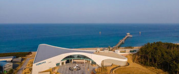 울진으로 떠나는 미식 여행