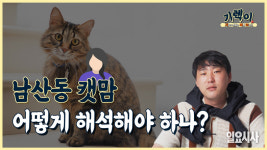  ‘남산동 캣맘’ 왜 빌라 주민에게 전화 테러 강행했나?