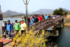 호숫가 산책 ④고성 화진포와 송지호