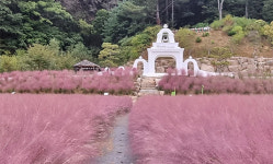 오감만족 치유여행 ①포천 허브아일랜드