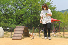 반려견 동반 여행 ②인천대공원 반려견놀이터