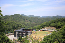 반려견 동반 여행 ③춘천 강아지숲