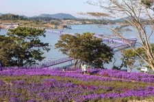 달콤한 짠내투어 ②신안 퍼플섬