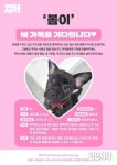 <위액트 공동기획> ‘봄이’ 새 가족을 기다립니다