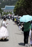 <사진으로 본 세상> 막바지 열기