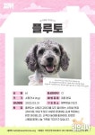  ‘플루토’ 새 가족을 기다립니다