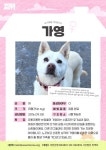  ‘가영’ 새 가족을 기다립니다