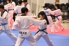 오사카 한국문화원 태권도 워크숍 개최