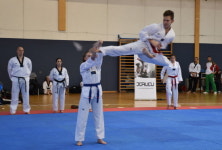 제5회 비엔나 태권도 페스티벌 성황리 개최