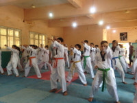 주이집트한국문화원, 태권도 무료교실 격려 방문