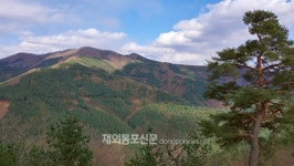 산림청, 5월 국유림 명품숲에 홍천 가리산 잣나무 숲 선정
