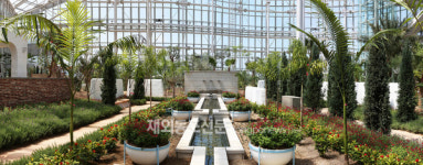 국내 최대 규모 식물전시 온실 갖춘 국립세종수목원 준공