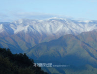 산림청, 12월 국유림 명품숲에 백두대간 최북단 향로봉 선정
