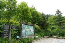 사립수목원 1호 한국자생식물원, 국민 품으로 