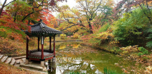 궁궐과 왕릉에서 즐기는 가을 단풍