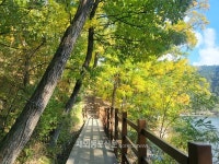 산림청, 걷기 좋은 명품숲길 30선 선정