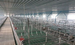 CJ 캄보디아 농장, 임대계약 12개월째 불이행 논란