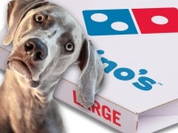 호주 도미도피자, 구글 어시스턴트 통해 음성 활성화 기능 추가