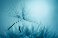 핵심은 회복탄력성··· 이젠 ‘외상 후 성장’을 준비해야 할 때다