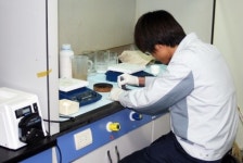 삼전순약공업, SOFC 소재 국산화 완료