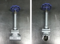 태성가스기술, 초저온 글로브밸브 특허출원