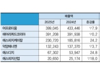 [경영분석] 2025년도 산업가스 관련기업 - 수소제조업체 견고했던 수소업계도 석유화학 영향 커