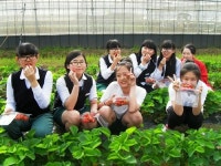 제주 농촌 현장체험으로 우리농업 중요성 깨닭아요!!