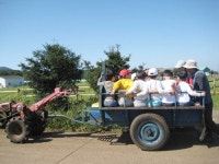 월랑초병설유치원, 우리도 산골체험 다녀왔어요!