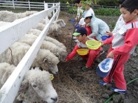 인화초병설유치원, 노루생태원 등 현장체험학습