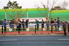 표선중앙로 하귤명품거리 탄생!