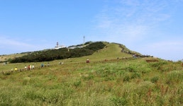 섬속의 섬 우도방문 관광객 100만명 돌파