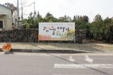 제주감귤열매따기 체험 농장으로 관광객을 초대합니다!