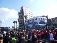 박근혜 지지자, 서귀포 1호광장에 대거 운집