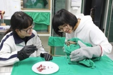 거친 야생동물에 푹 빠진 여고생들, 무슨 사연?