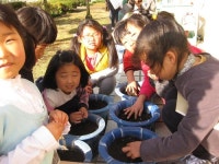 하례초, 전교생 1인 1화분 씨앗 파종 강낭콩 처럼 쑥쑥