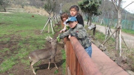 보성초, 창의ㆍ인성 제주 4.3 체험학습