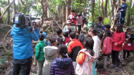 보성초, 창의·인성 곶자왈 체험학습