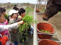 신창초, 신나는 생태체험활동 속으로!