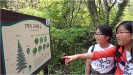 도순초, 제주의 환경과 관광산업 체험했어요