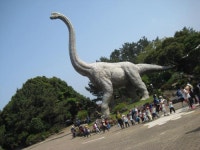 제주서초병설유치원, 공룡랜드와 도예원 현장체험학습