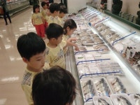 송당초병설유치원, 제주민속오일장 현장체험활동