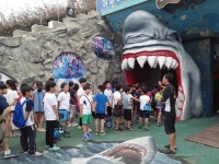 서귀포초, 수상 안전교육 및 수영교실