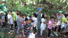 보성초, 창의ㆍ인성 곶자왈 체험학습